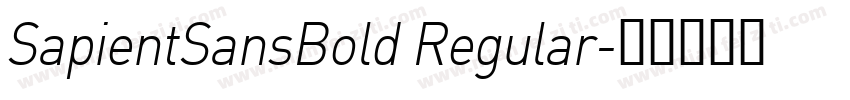 SapientSansBold Regular字体转换